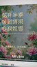 白落梅作品：花開(kāi)半季·情暖三生（精裝）淡品唐詩(shī)的風(fēng)雅 曬單實(shí)拍圖