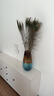 君默天然真孔雀尾羽羽毛翎尾大眼睛 客廳擺件花瓶插花裝飾品diy配件孔 90-100厘米：優(yōu)選大眼睛12支 曬單實(shí)拍圖