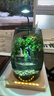 丘辰苔蘚微景觀(guān)養魚(yú)生態(tài)瓶diy辦公室內桌面綠植擺件花卉盆栽生日禮物 翠微香（香薰底座） 曬單實(shí)拍圖