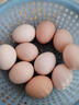 桃西村散養土雞蛋【現撿速發(fā)】正宗柴雞蛋新鮮農家雞蛋草雞蛋笨雞蛋初生 10枚裝 【單枚40-45g】約400g 試吃 曬單實(shí)拍圖