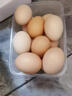 南步農家散養土雞蛋【現撿速發(fā)】新鮮雞蛋笨雞蛋草雞蛋正宗柴雞蛋初生 10枚裝 【單枚40-45g】約400g 曬單實(shí)拍圖