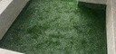 康邁斯仿真草坪地毯地墊假草皮 人造草坪陽(yáng)臺戶(hù)外人工草坪假草坪 1.5m寬 曬單實(shí)拍圖