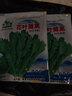 正品原裝皇帝菜中葉茼蒿種子青菜種籽春菊茼蒿菜種籽種四季蔬菜 精品中葉【花葉】茼蒿約1000粒2包 曬單實(shí)拍圖
