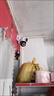 有看頭雙鏡頭攝像頭室外防水無(wú)線(xiàn)WiFi監控器360度手機遠程家用 【W(wǎng)F停電監控】800萬(wàn)像素+64G卡 曬單實(shí)拍圖