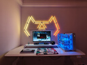 NANOLEAF奇光萬(wàn)物 三角奇光板家居電競房RGB氛圍燈可DIY拼接屏光同步墻面拾音律動(dòng)LED壁燈 曬單實(shí)拍圖