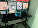 哈曼卡頓Soundsticks 5 音樂(lè )水晶5代玄光版桌面藍牙音箱低音炮音響水晶5黑色居家藝術(shù)音響生日禮物 【重磅上新】水晶5·玄光版 曬單實(shí)拍圖