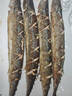 魚(yú)躍船頭特大秋刀魚(yú)無(wú)冰去鰓去內臟深海捕撈船凍鎖鮮日料深海魚(yú)商超同款 秋刀魚(yú)600g*4 曬單實(shí)拍圖
