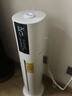 京東京造空氣加濕器冷熱霧落地式上加水大容量家用客廳臥室辦公室大霧量uv殺菌嬰兒孕婦可用空調房增濕云杉 曬單實(shí)拍圖