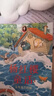 楊紅櫻童話(huà)全集（共10冊）集知識性、文學(xué)性、教育性、趣味性于一體，涵蓋多種主題；多重風(fēng)格隨文彩繪，培養兒童多元審美，小學(xué)三四五六年級課外閱讀，7-10歲適讀 曬單實(shí)拍圖