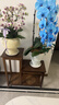 小匠材實(shí)木中式花臺陽(yáng)臺架子中古風(fēng)置物架落地式裝飾擺件客廳多層花架子 曬單實(shí)拍圖