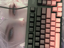 羅技（Logitech）K848有線(xiàn)1KHZ驅動(dòng)機械鍵盤(pán) 97鍵位 G502有線(xiàn)電競鼠標宏編程可配重鼠標 電競競游戲鍵鼠套裝 K848+G502+黑莓鍵帽+防滑貼+鼠標墊 曬單實(shí)拍圖