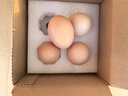 初土記有機土雞蛋 4枚禮盒 寶寶蛋 純糧散養新鮮雞蛋 原產(chǎn)地直發(fā) 曬單實(shí)拍圖