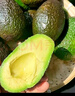 云南牛油果鱷梨大果 新鮮采摘低卡低脂沙拉時(shí)令生鮮水果蔬菜半價(jià) 4粒(130g+) 曬單實(shí)拍圖