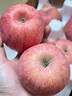 高西溝山地蘋(píng)果陜西特產(chǎn)紅富士榆林米脂洛川紅富士蘋(píng)果整箱10斤 正宗高山20年老果園種植【爆甜爽口】 帶箱9-10斤【出口級特大果】 曬單實(shí)拍圖