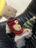 喵然心動(dòng)純種泰迪幼犬馬爾泰家養寵物狗活體幼崽貴賓犬飛耳茶杯犬小型犬 寵物級 【精品泰迪犬】 曬單實(shí)拍圖