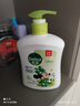 滴露洗手液 有效抑菌99.9% 兒童寶寶健康抑菌清潔洗手液 全家通用 【米奇米妮聯(lián)名】茉莉與綠茶500g 曬單實(shí)拍圖