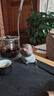 康樂(lè )品 哥窯茶寵擺件 開(kāi)片可養十二生肖手工茶玩迷你可愛(ài)茶臺創(chuàng  )意擺件 哥窯十二生肖茶寵-虎 曬單實(shí)拍圖