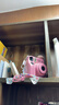 富士（FUJIFILM） instax mini se 一次成像 立拍立得相機 使用3英寸相紙 粉色相紙組合套裝三【含標配+20張相紙+周邊配件】 官方標配【可代寫(xiě)賀卡】 曬單實(shí)拍圖