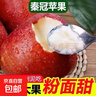 正宗秦冠粉面蘋(píng)果粉糯新鮮老人小孩輔食可刮泥新鮮蘋(píng)果可脆可粉 帶箱5斤實(shí)惠中果65mm+剛收到脆放幾天粉面 曬單實(shí)拍圖