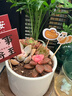 綠蔭巷子多肉植物帶盆組合盆栽新手好養活仙人掌辦公室內桌禮品小綠植 圓瓷盆【吉娃娃+3隨機肉】+5?？?曬單實(shí)拍圖