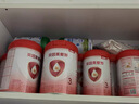 貝因美大國品牌愛(ài)加12-36月幼兒奶粉3段800g*6 免疫成長(cháng)奶粉含乳鐵蛋白 曬單實(shí)拍圖