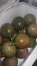 張小壯  百香果 精品廣西百香果大果 3斤A級果現摘 約24個(gè) 曬單實(shí)拍圖