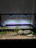 積光（ZETLIGHT）飛碟燈魚(yú)缸燈f8max飛碟ufo水草燈led全光譜 新款F8 MAX燈頭96W 支架需另購 曬單實(shí)拍圖