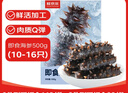 鮮京采【京東生鮮自有品牌】大連即食海參 1斤 10-16只 固形物75%  曬單實(shí)拍圖