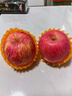 隴原紅【順豐到家】靜寧蘋(píng)果甘肅紅富士蘋(píng)果新鮮孕婦水果源頭直發(fā)包郵 商超嚴選|凈重8.5斤85-90mm特大果15-16枚 曬單實(shí)拍圖