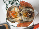 【活蟹】現貨陽(yáng)澄欣權大閘蟹鮮活全母螃蟹全公蟹生鮮水產(chǎn)年貨禮盒 8只/4對 公5.0-4.8 母4.0-3.8 曬單實(shí)拍圖