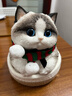 創(chuàng  )意可愛(ài)高端仿真貓咪玩偶捏捏閨蜜女生生日禮物小眾高級解壓擺件 曬單實(shí)拍圖