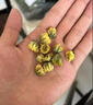 菊花茶桐鄉胎菊米頭采特級正宗杭白菊貢菊花茶500g新花草茶葉Y 100克【優(yōu)惠裝】 曬單實(shí)拍圖