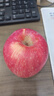 佳農陜西洛川高原蘋(píng)果脆甜多汁25年新鮮紅富士蘋(píng)果家庭裝多規格 75mm 3斤 曬單實(shí)拍圖