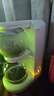 鳴盞養生壺泡茶機電熱水壺茶壺迷你玻璃花茶壺速熱臺式茶飲機  電燒水壺京東自營(yíng) 泡茶機MZ-1151 曬單實(shí)拍圖