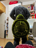 巴邁爾滑雪護臀護具小烏龜護屁股墊套裝綠烏龜防摔護膝成人單雙板裝備 綠色成人款（80-180斤）【臀+膝】套裝 【25年新升級】加大加厚款 曬單實(shí)拍圖