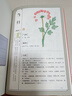 包郵 蔡志忠本草綱目節氣養生年歷 節氣養生 健康體質(zhì) 漫畫(huà)手繪 二十四節氣 養生日歷 養生書(shū)籍 家庭保健 中醫養生入門(mén) 曬單實(shí)拍圖