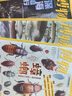 2025年博物10-12月 雜志期刊打包發(fā)出共3期 8-14歲青少年科普百科圖書(shū)自然歷史知識 中小學(xué)生通識教育課外閱讀掌上博物館 曬單實(shí)拍圖
