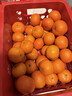 【整筐】樹(shù)上紅廣西砂糖橘2kg 單果40mm 曬單實(shí)拍圖