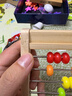 兒童木質(zhì)珠算架幼兒園小學(xué)生計算架數數棒加減法算盤(pán)蒙氏數學(xué)教具 十檔計算架【數字卡片+口訣表】 曬單實(shí)拍圖