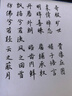 JCZS德國品牌秀麗筆書(shū)法專(zhuān)用軟頭自帶筆鋒小楷中楷大楷美術(shù)硬筆軟筆書(shū)法練字專(zhuān)用可加墨水抄經(jīng)筆鋼筆式 2支【中楷】送墨水速干順滑筆尖不分叉 曬單實(shí)拍圖
