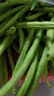 新鮮長(cháng)豆角豇豆現摘現發(fā)蔬菜豆角蕓豆生鮮 帶箱3斤 曬單實(shí)拍圖