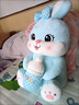 新款網(wǎng)紅抱著(zhù)奶瓶兔子公仔玩偶可愛(ài)坐姿兔抱枕大號毛絨玩具男女孩 藍色抱著(zhù)奶瓶款 高85厘米【填充白色PP棉】 曬單實(shí)拍圖