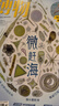 博物 2025年7月號 專(zhuān)題：微趕海  中國國家地理青春少年版 博物君探索自然奧秘 曬單實(shí)拍圖