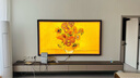 創(chuàng  )維壁紙電視100A7F Pro 100英寸超薄壁畫(huà)藝術(shù)mini led 智能4K液晶平板電視機100吋 A7EPro升級款 100英寸 國家補貼立減 【新品】官方標配 一級能效 曬單實(shí)拍圖