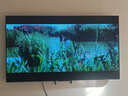 海爾【小紅花電視-綻放版】65H5C 65英寸 8核 144Hz高刷 3+32GB 游戲 護眼 國家補貼一級能效 京東自營(yíng) 曬單實(shí)拍圖