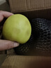 山東青蘋(píng)果新鮮水果當季現摘孕婦綠蘋(píng)果應季時(shí)令整箱脆甜酸甜 凈重3斤（60-65mm） 曬單實(shí)拍圖