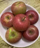 南步正宗東北國光小蘋(píng)果 國光遼寧特產(chǎn)老品種五蓮笨蘋(píng)果新鮮孕婦水果 5斤 精選大果【約16個(gè)】 曬單實(shí)拍圖