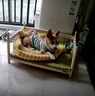 【京東快遞】北歐風(fēng)實(shí)木寵物床家用狗床貓窩大小型犬實(shí)木 進(jìn)口橡木寵物床+果綠墊子 L：77*40*50cm 曬單實(shí)拍圖
