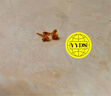 周六福5G工藝蝴蝶黃金耳釘女足金生日禮物計價(jià)A0913572 一對 約0.91g  曬單實(shí)拍圖