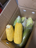 佳農寶菜山東新鮮水果玉米帶綠皮單根200g+凈重4.6斤4-7根源頭直發(fā) 曬單實(shí)拍圖